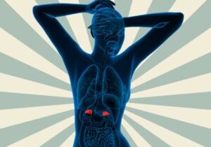 adrenals-need-help